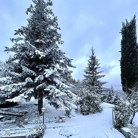Mazzetti Country House-Vita In Campagna Con Giardino Vimignano-Chiesa المظهر الخارجي الصورة