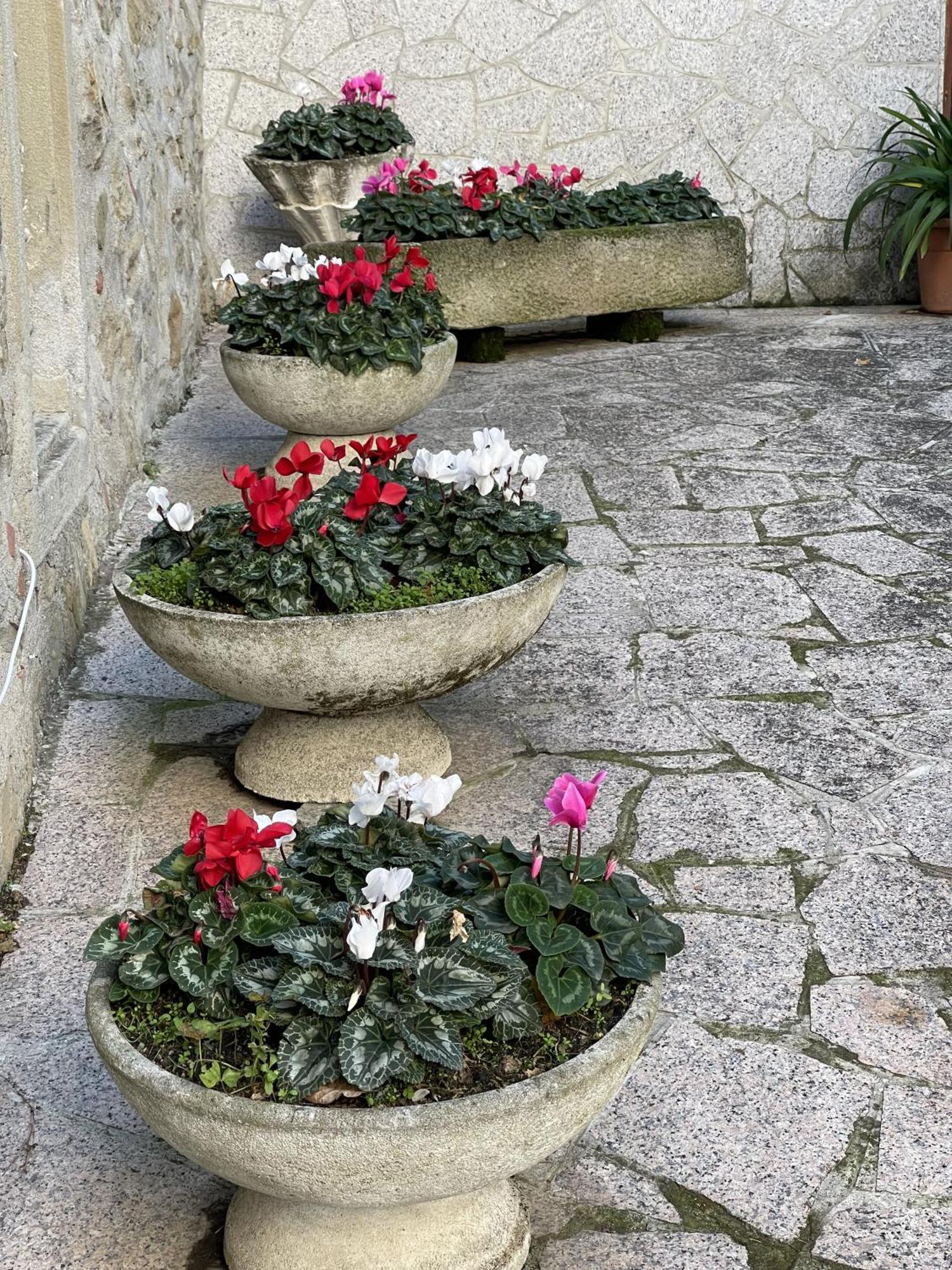 Mazzetti Country House-Vita In Campagna Con Giardino Vimignano-Chiesa المظهر الخارجي الصورة