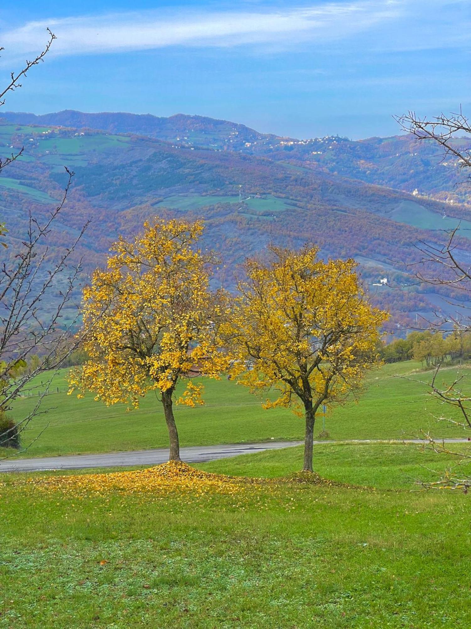 Mazzetti Country House-Vita In Campagna Con Giardino Vimignano-Chiesa المظهر الخارجي الصورة