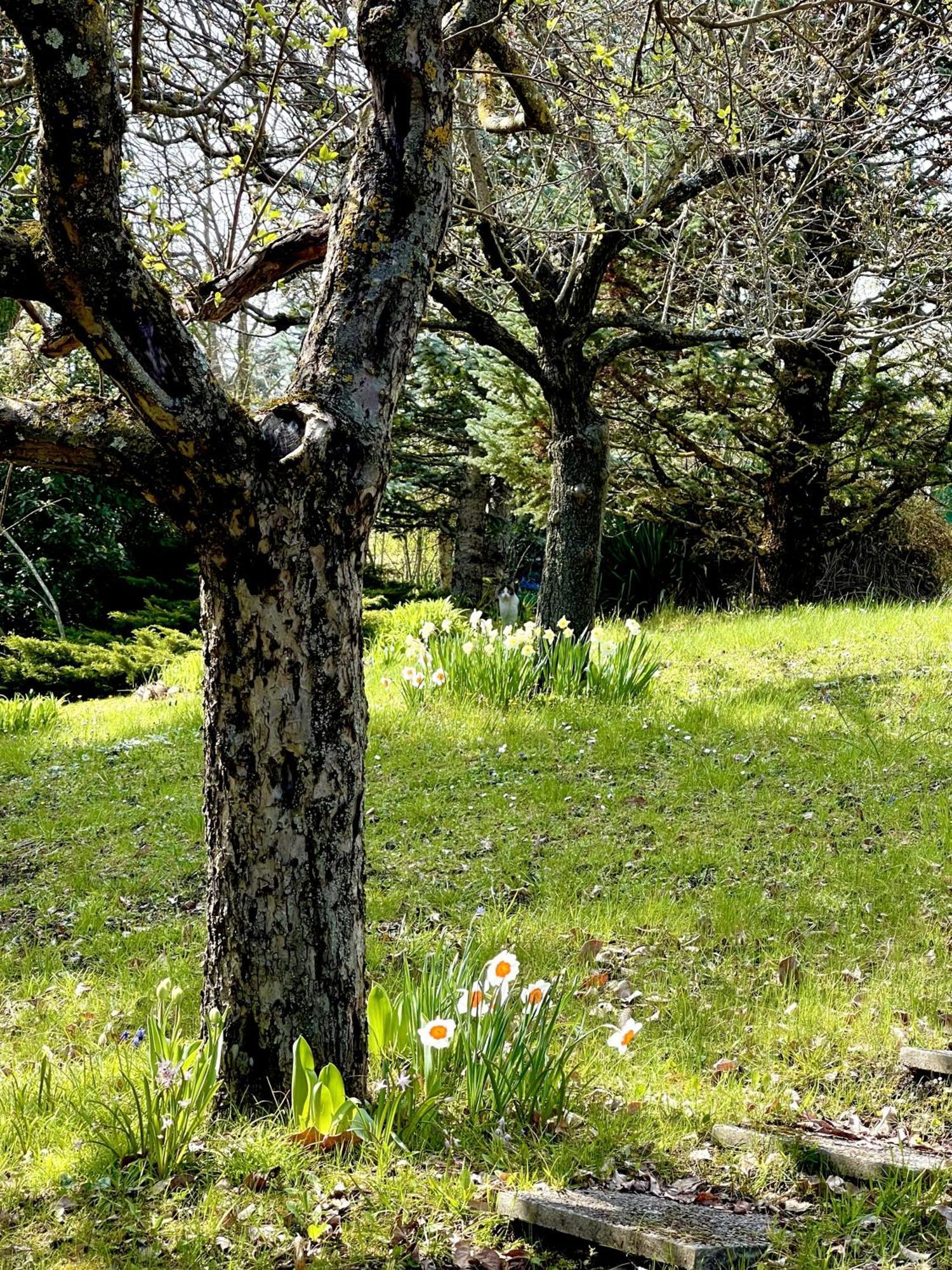 Mazzetti Country House-Vita In Campagna Con Giardino Vimignano-Chiesa المظهر الخارجي الصورة
