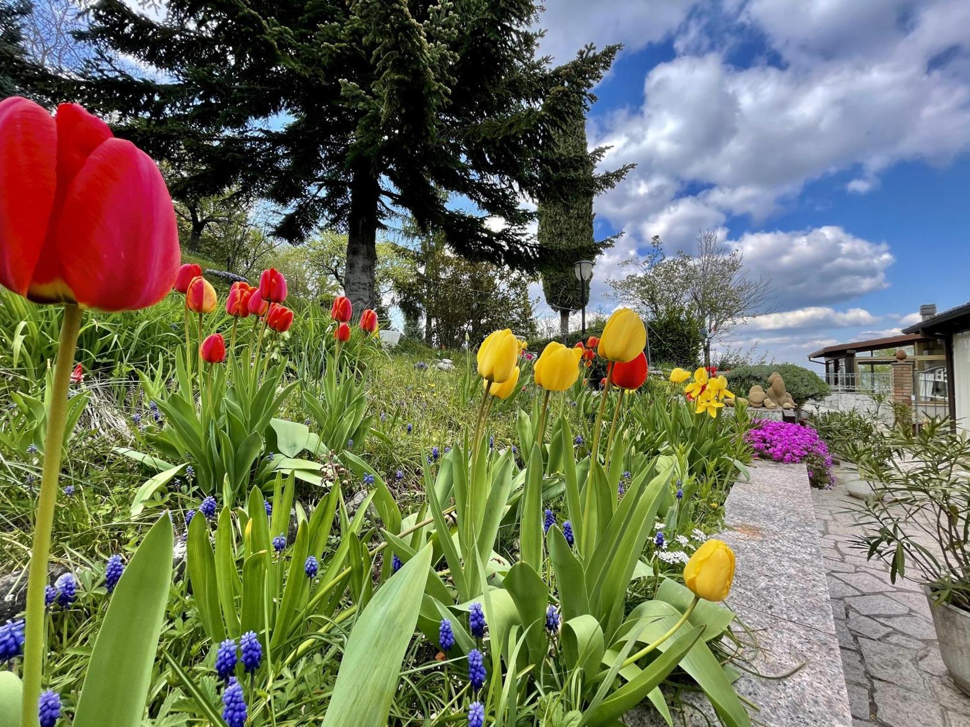 Mazzetti Country House-Vita In Campagna Con Giardino Vimignano-Chiesa المظهر الخارجي الصورة