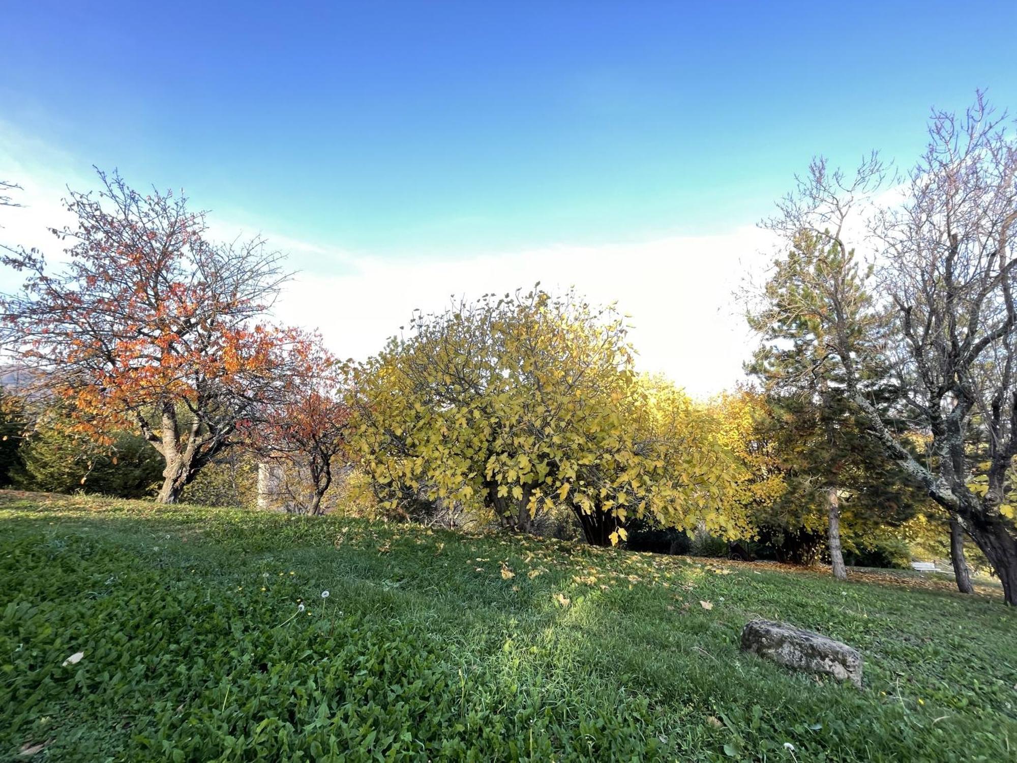 Mazzetti Country House-Vita In Campagna Con Giardino Vimignano-Chiesa المظهر الخارجي الصورة
